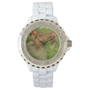 Montre Daschund
