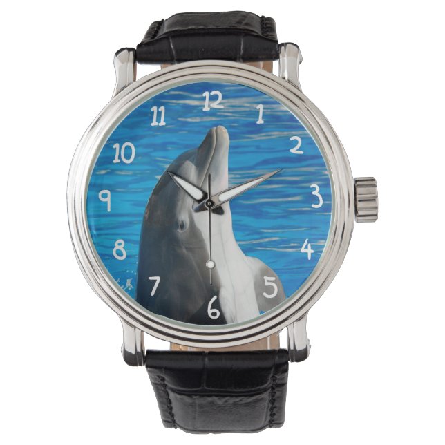 Montre Dauphin à bec (devant)