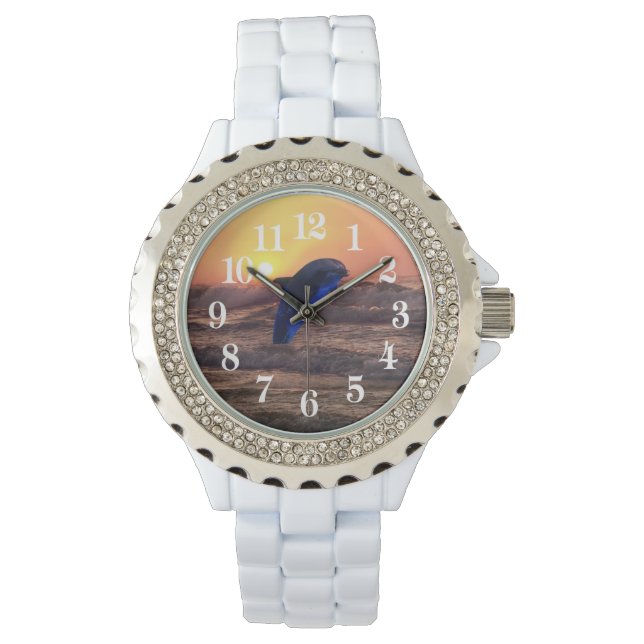 Montre Dauphin au coucher du soleil (devant)