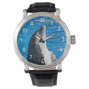 Montre Dauphin de Bottlenose