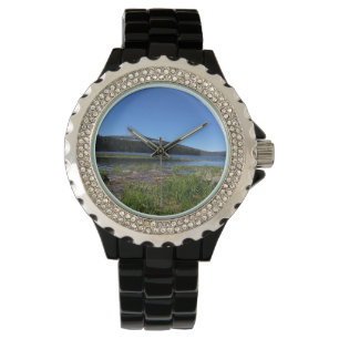 Montre Davis lake