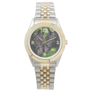 Montre De beaux chevaux