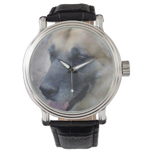 Montre de berger allemand