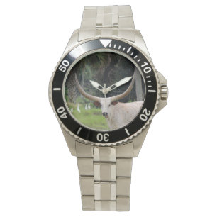 Montre de bétail de Longhorn