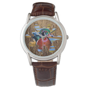 Montre De Canard De Bois, Chasse De Canard