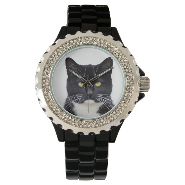 Montre De Chat Noir Et Blanc En Colère (devant)