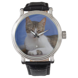 Montre de chat Tabby