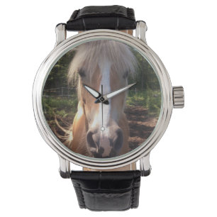 Montre de cheval de Haflinger