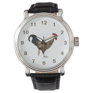 Montre de coq