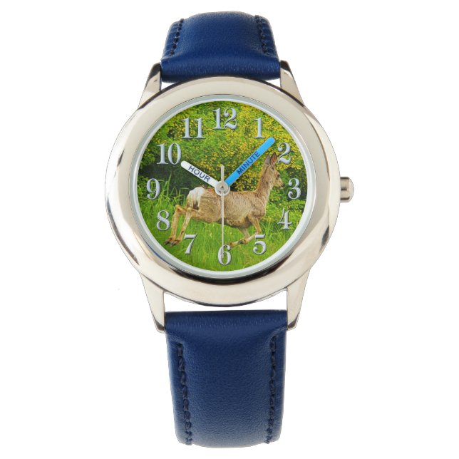 Montre de faune de cerfs et graminées de Virginie (devant)