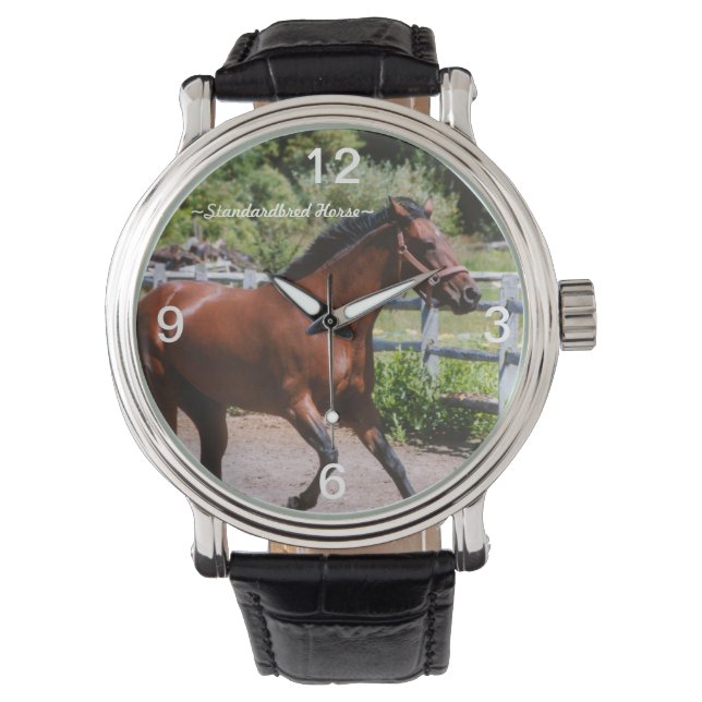 Montre de galopance à cheval standard (devant)