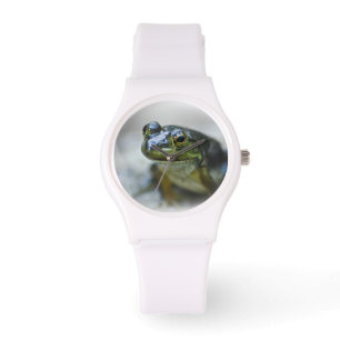 Montre de grenouille verte