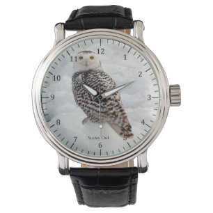 Montre de hibou de Milou
