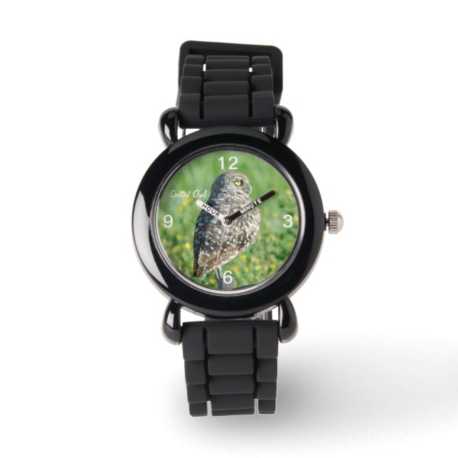 Montre de la Chouette tachetée (Recto)