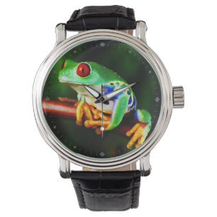 Montre de la grenouille 1 et options de chiffre