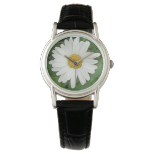Montre de marguerite blanche