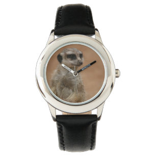 Montre de Meerkat