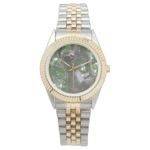 Montre de paresse