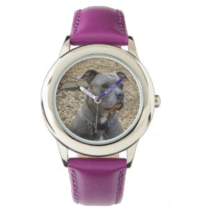 Montre de pensée de Pitbull