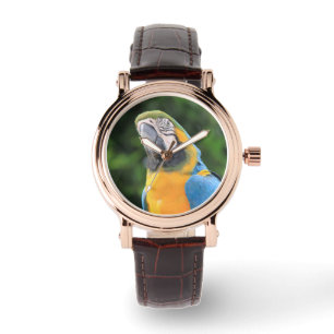 Montre de perroquet