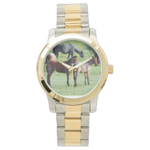 Montre de poulains de rouan