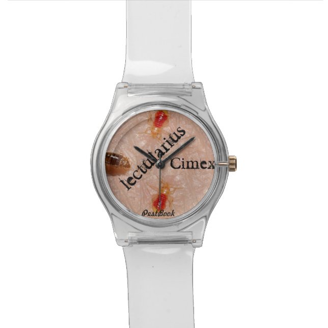 Montre de punaises (Fermer)