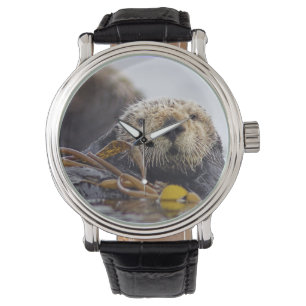 Montre de surprise de loutre
