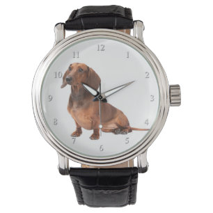 Montre de teckel