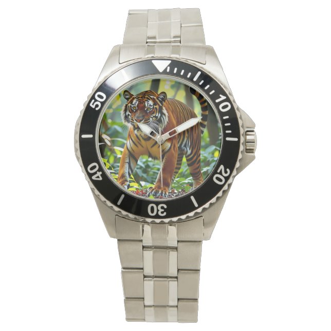 montre de tigre (devant)