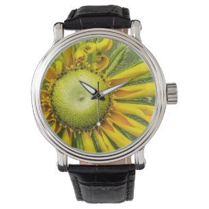 Montre de tournesol