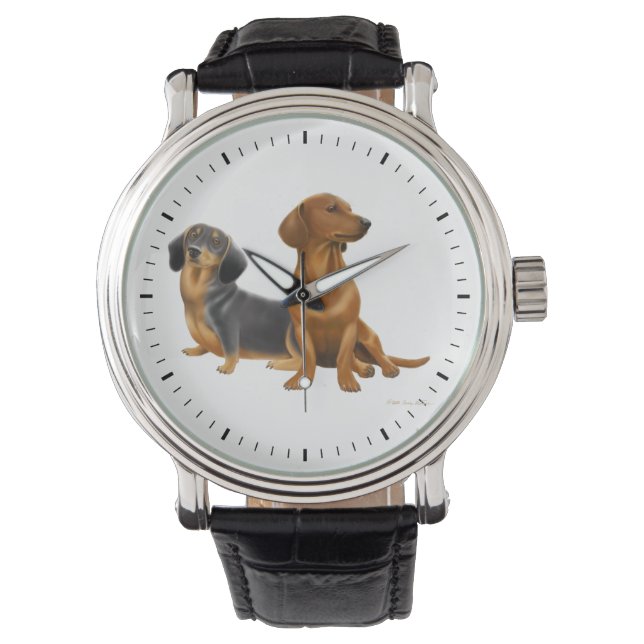 Montre Des Chiens De Jeunes Dachshund (devant)