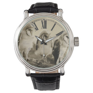 Montre Des Chouettes À Moitié Cultivées