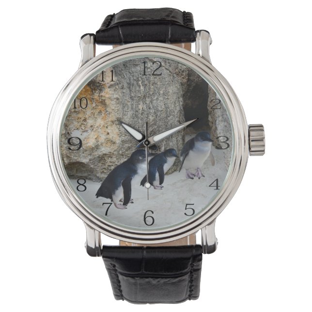 Montre Des Pingouins À Leur Maison De Plage, (devant)