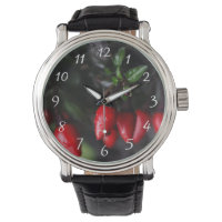 Des Red Hot Garden Salsa Chili Peppers.