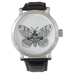 Montre Dessin Brahmin moth
