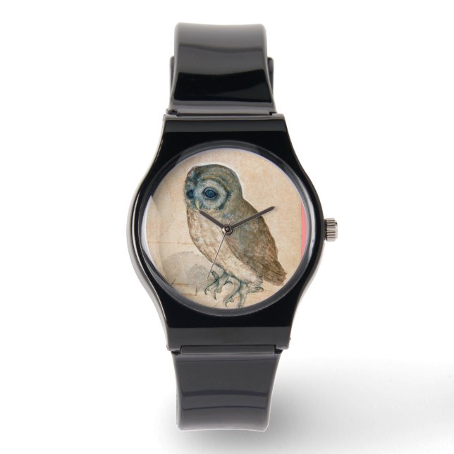 MONTRE DESSINS ANIMAUX DE RENAISSANCE / LE BOULE (Recto)