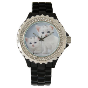 Montre Deux chatons blancs très jeunes regardent fixemen