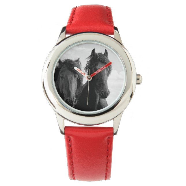 Montre Deux étalons friésiens. (devant)