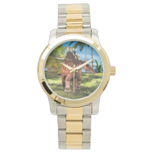 Montre Dinosaure Kentrosaurus
