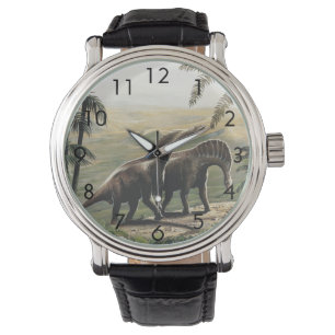 Montre Dinosaures Vintage, Amargasaurus avec Palmiers