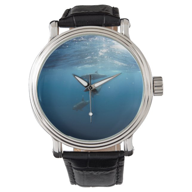Montre Dolphin Family (devant)