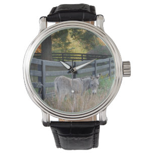 Montre Donkey dans un champ d'automne