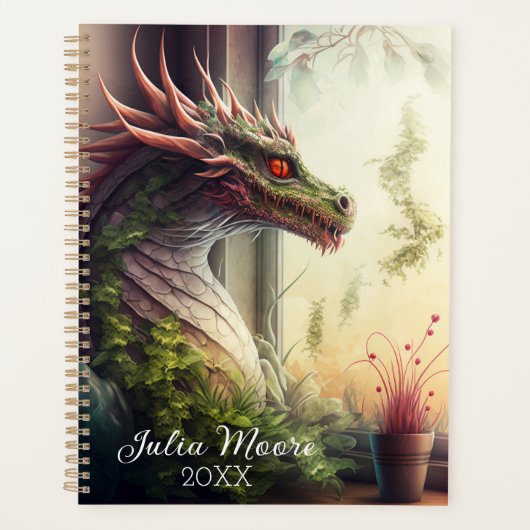 Montre Dragon (Devant)