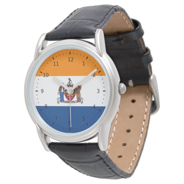 Montre Drapeau d'Albany, New York (Incliné)
