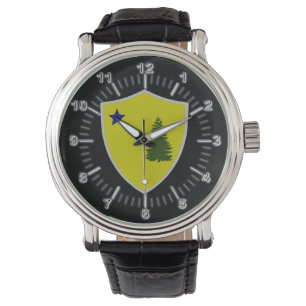 Montre Drapeau du Maine (1901)