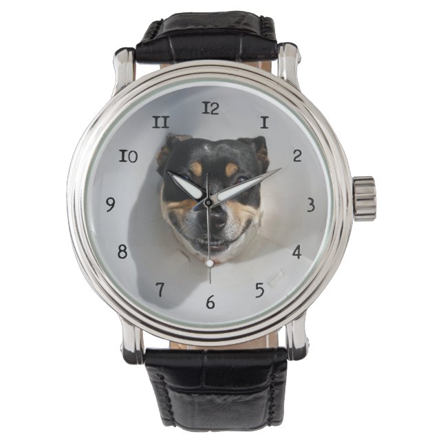 Montre Drôle chien souriant (devant)