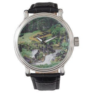 Montre Eau de guérison