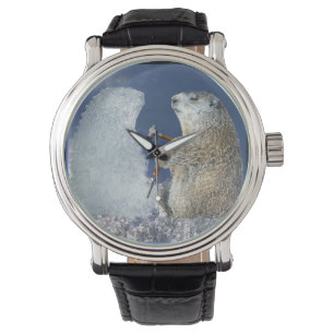 Montre Ébrèchement loin au jour de Groundhog