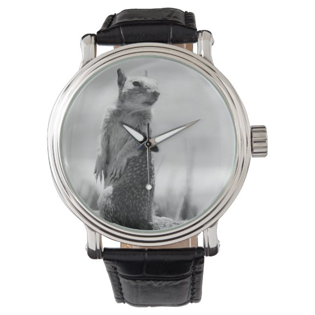 Montre Écureuil (devant)