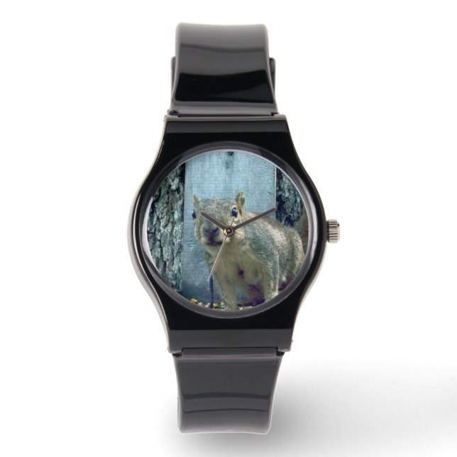 Montre Écureuil (Recto)